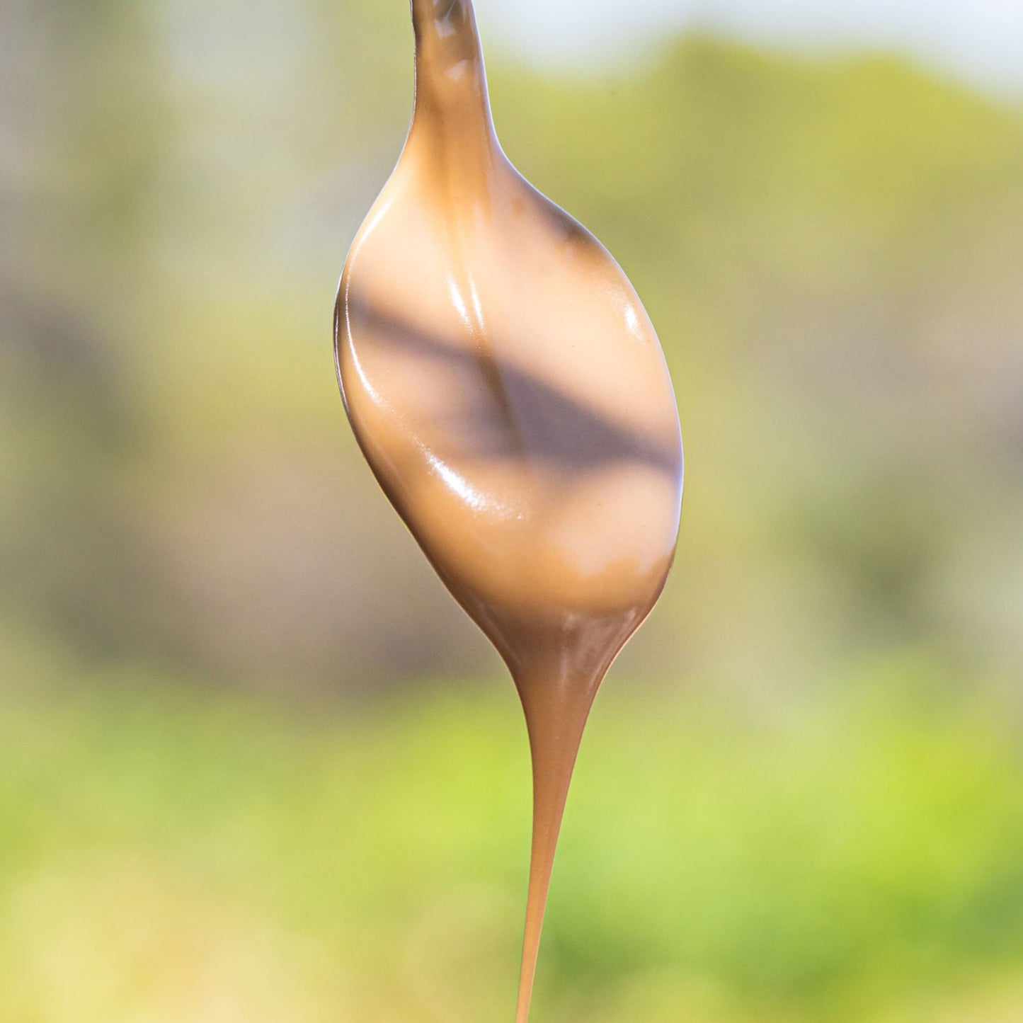 nocciolata