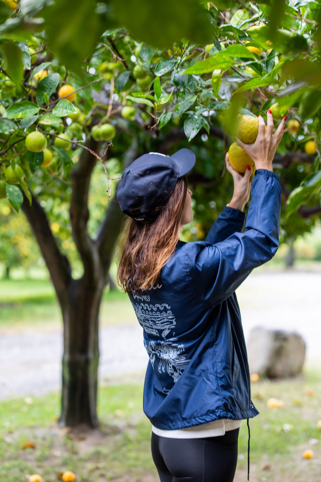 Découvrez l’huile d’olive à la bergamote Lucangeli, alliance unique du terroir calabrais. Histoire, usages, bienfaits et héritage familial.