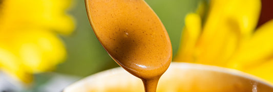 Purée noisette 100%