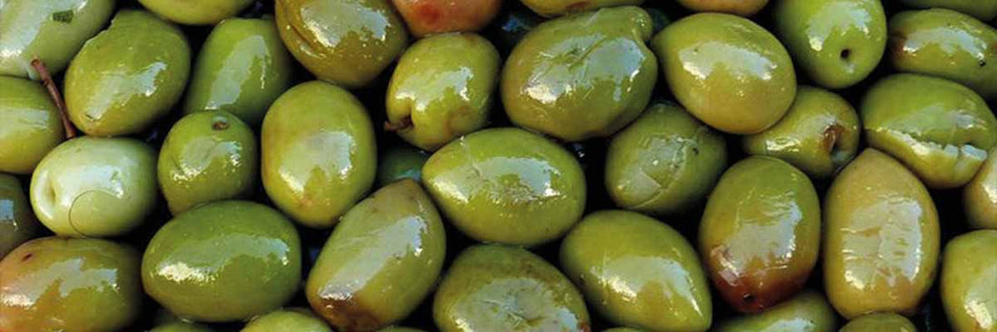 olive trees