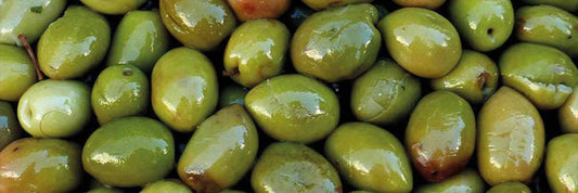 olive trees