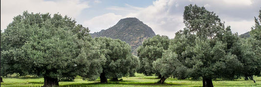 voyage en italie 