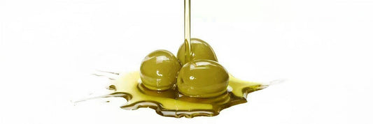 olive tree