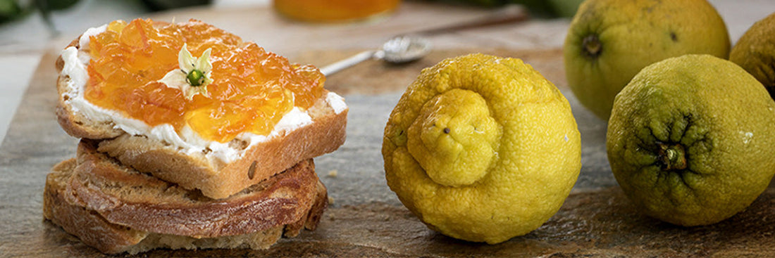 citrus bergamia