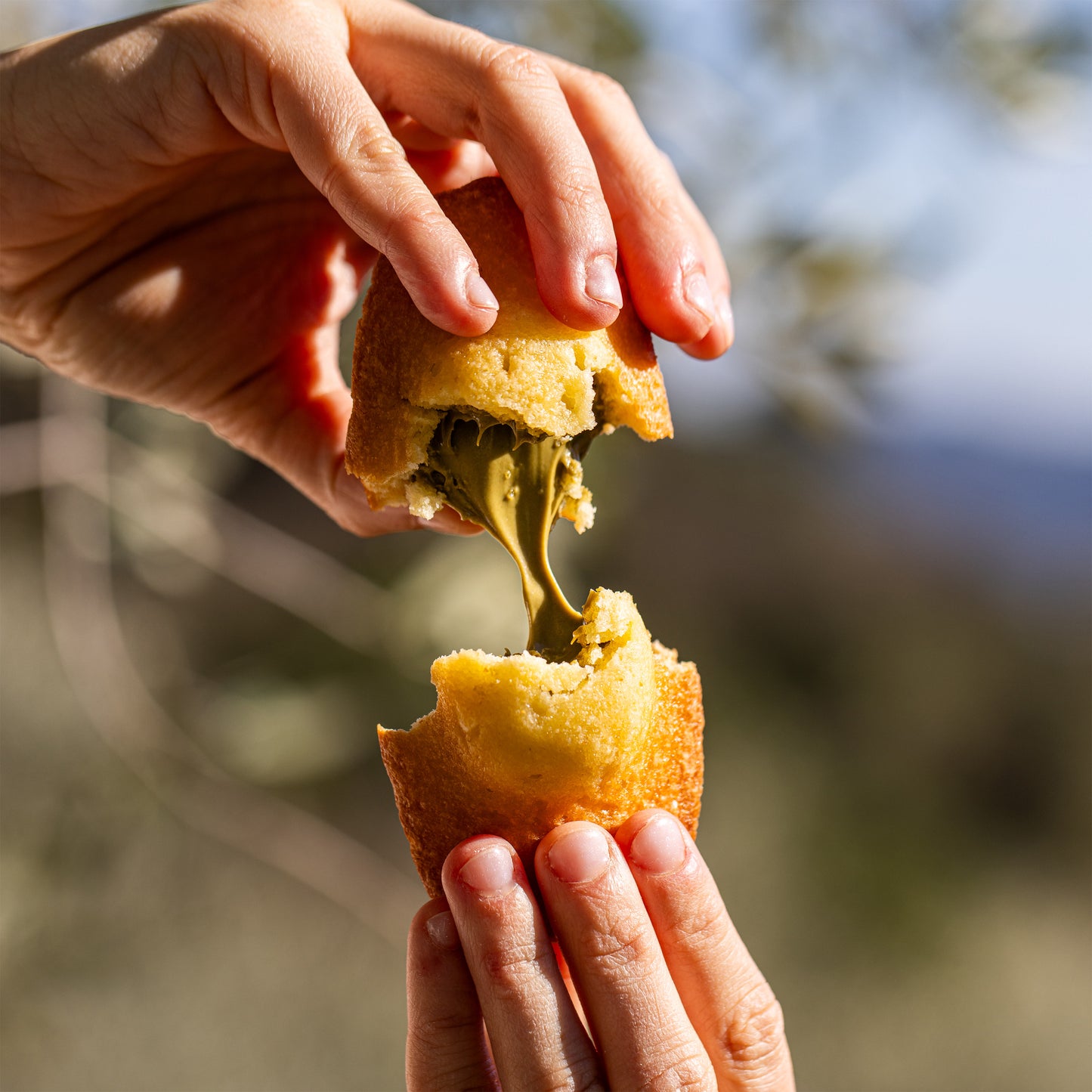 madeleine purée pistache 100%