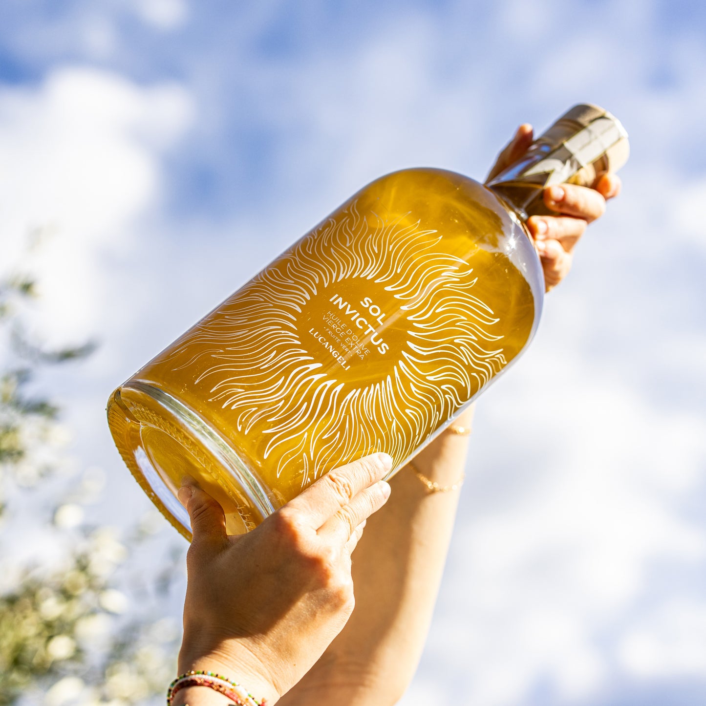 OLIO EXTRAVERGINE DI OLIVA BIOLOGICO 2,5 L