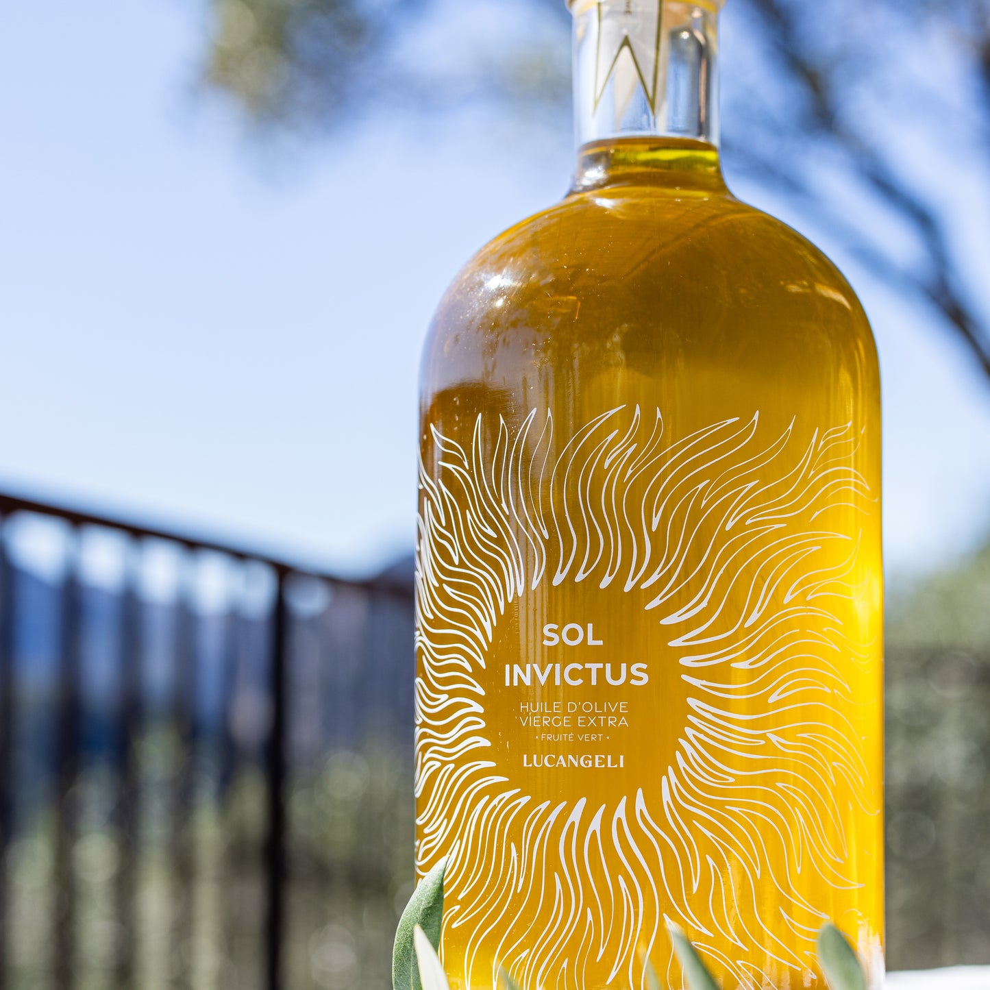 OLIO EXTRAVERGINE DI OLIVA BIOLOGICO 2,5 L