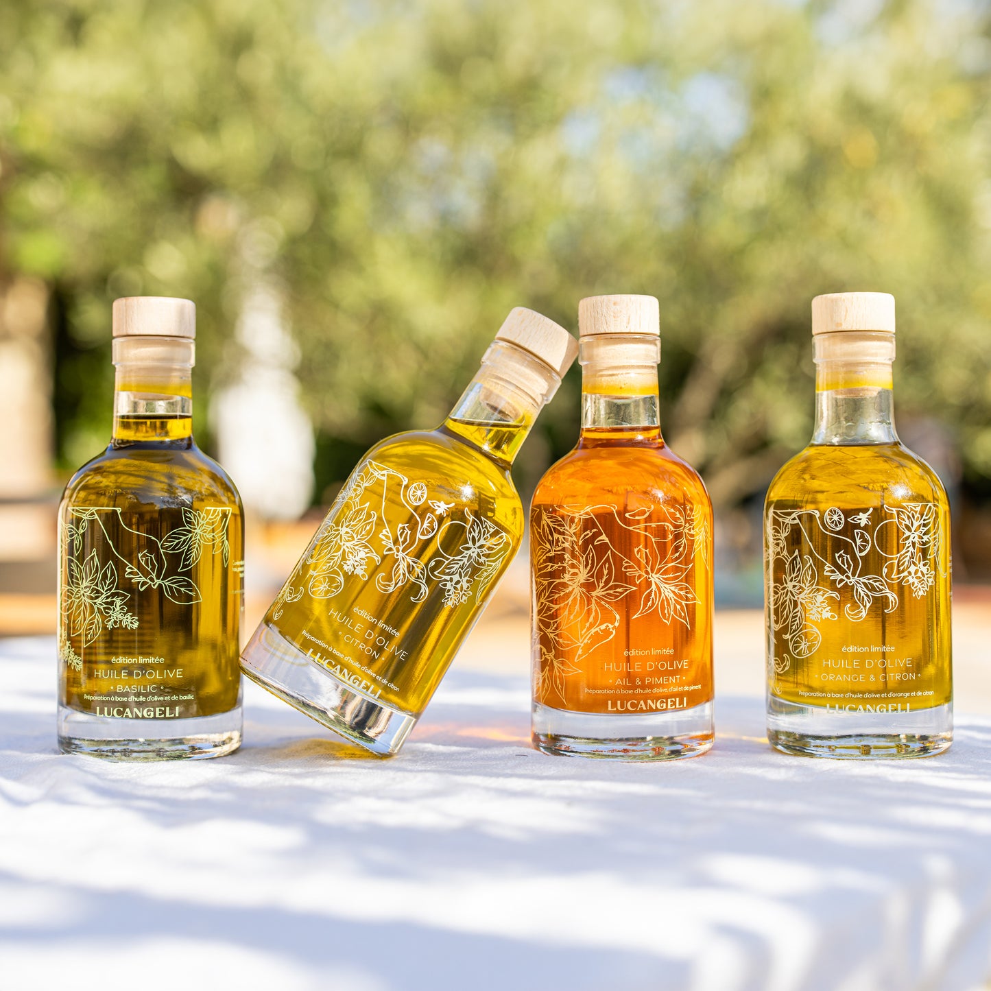 HUILE D'OLIVE BASILIC BIO