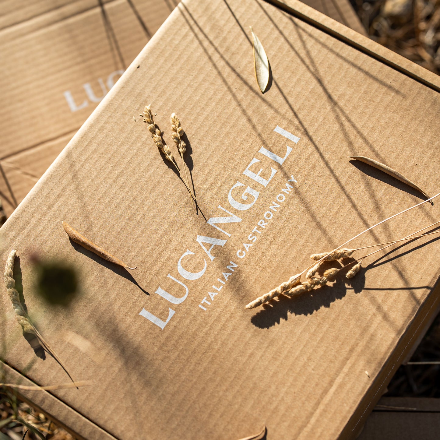 TRIO - CONFEZIONE OLIO D'OLIVA 200 ML