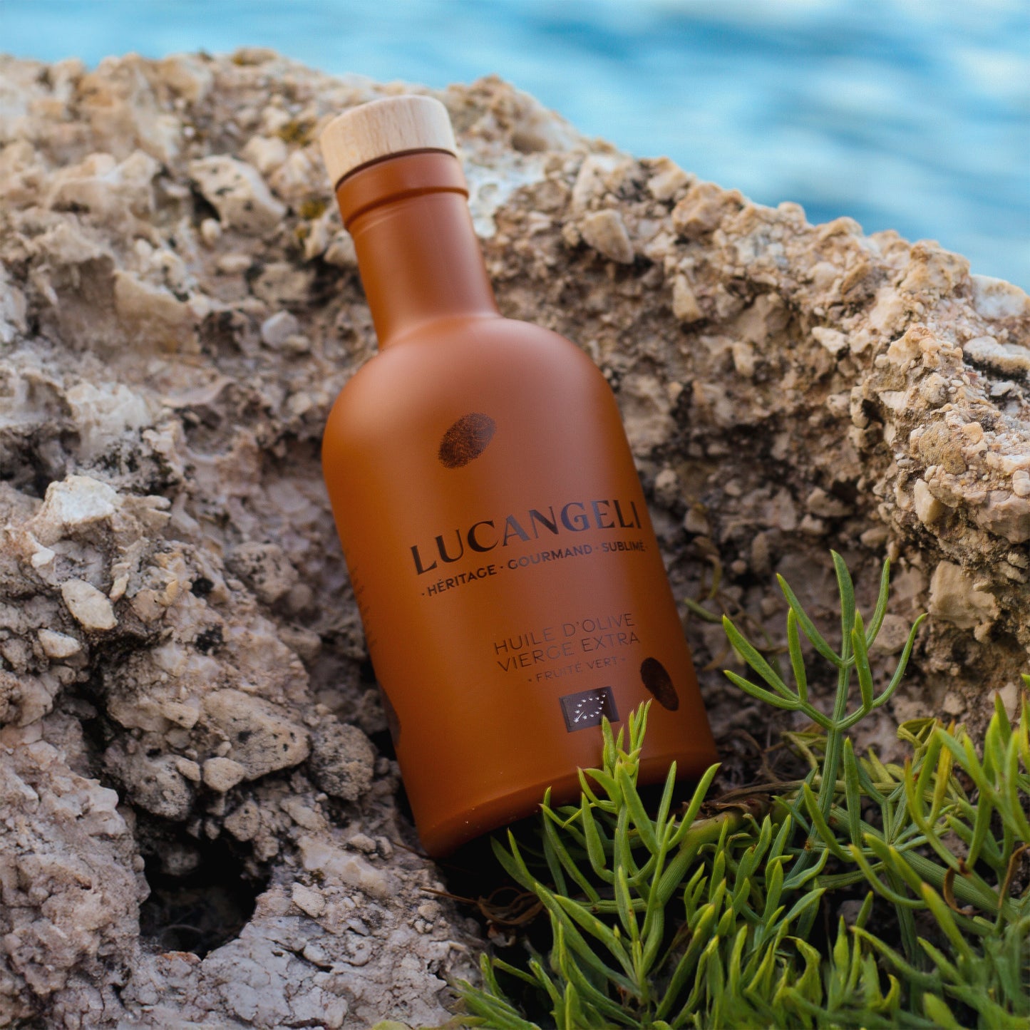 DISCOVERY DUO – 2 BOTTIGLIE DI OLIO DI OLIVA BIOLOGICO DA 500 ML