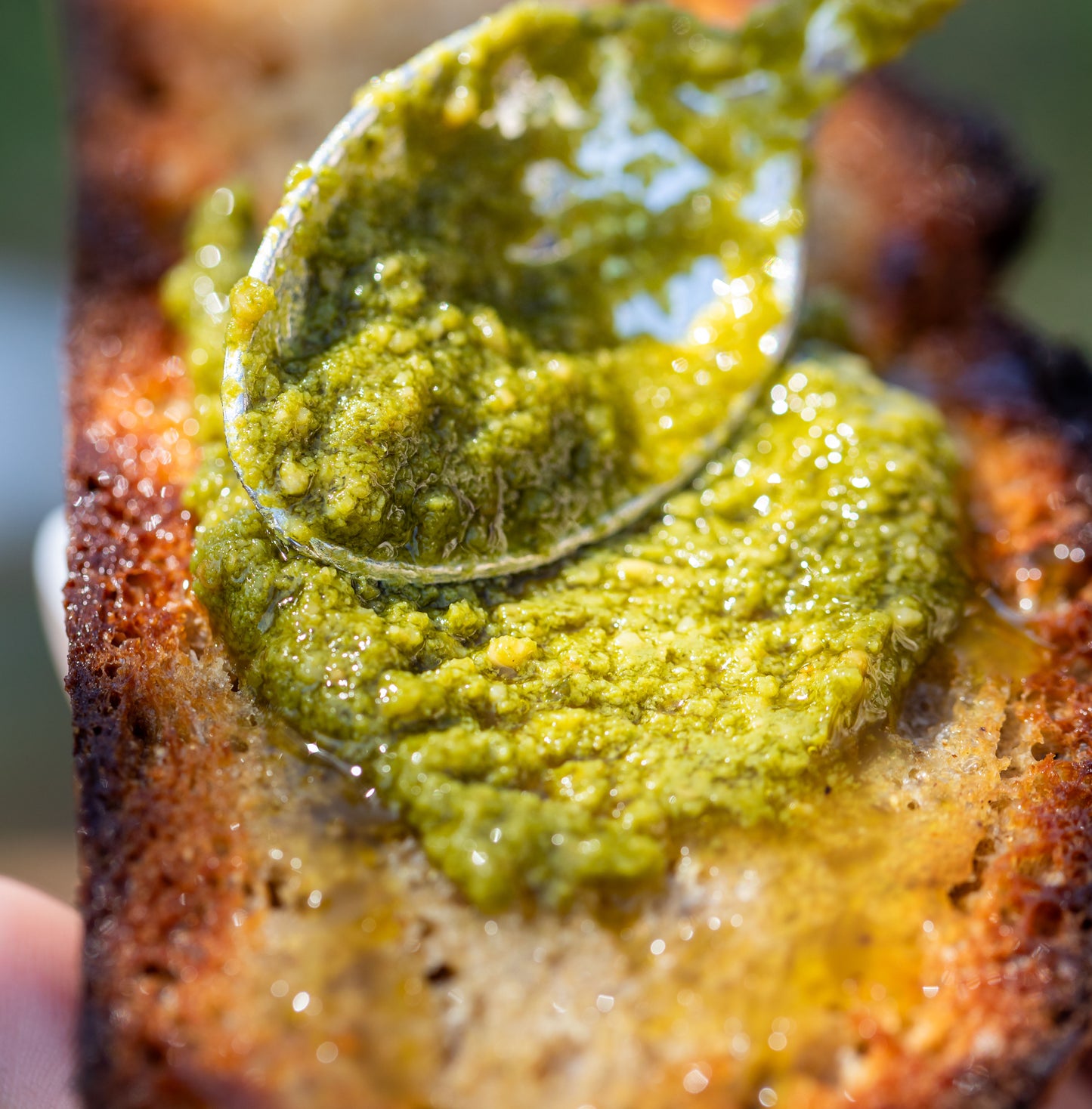 Pesto tartiné